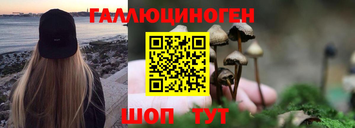 Псилоцибиновые грибы GOLDEN TEACHER  Вход с VPN  Псилоцибиновые грибы Psilocybine cubensis  Нижневартовск 